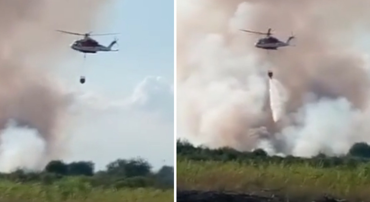 https://statics.cedscdn.it/photos/MED_HIGH/2025/07/23/8973858_23193835_incendio_laguna_punta_fusina_isola_dei_maltesi_sterpaglie.jpg