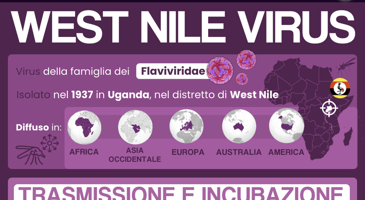 West Nile a Latina, 31enne in terapia intensiva. La sorella: «Siamo sconvolti, mio fratello è uno sportivo e non ha mai avuto problemi»