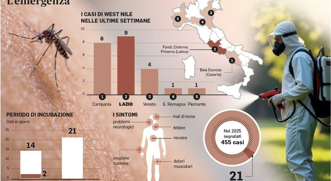West Nile, impennata di contagi: altri 12 casi tutti a Latina e provincia West Nile, impennata di contagi: altri 12 casi tutti a Latina e provincia