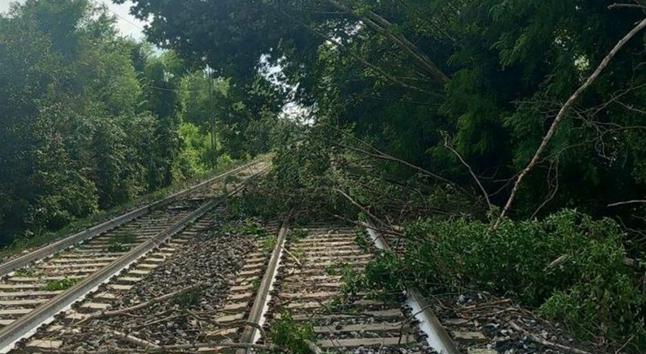 bomba d acqua a farra esonda il fiume soligo albero sui binari della linea conegliano pordenone disagi a valdobbiadene e pieve
