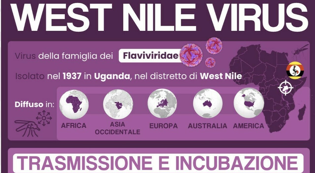 West Nile, l