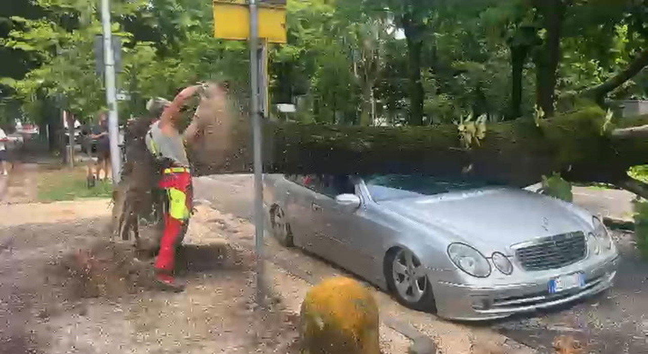 https://statics.cedscdn.it/photos/MED_HIGH/2025/07/24/8975736_poster.jpg