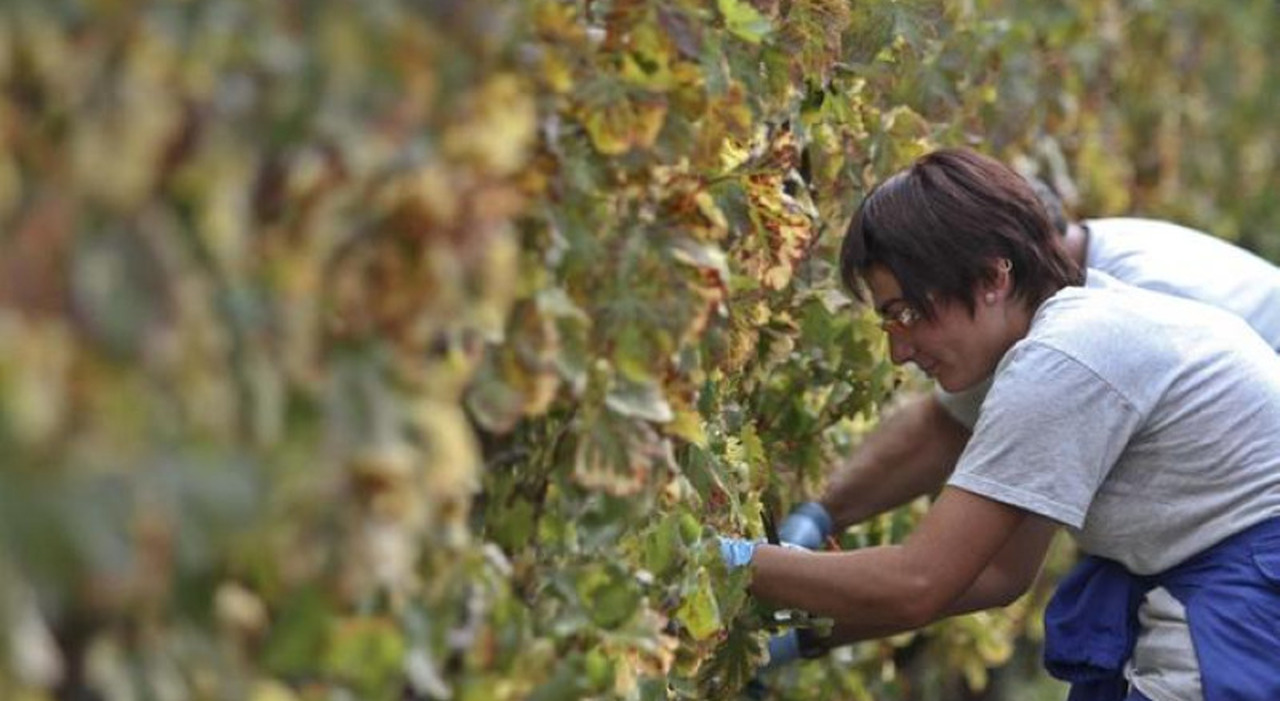 terre gratis agli under 41 per la svolta generazionale il 70 232 nel mezzogiorno