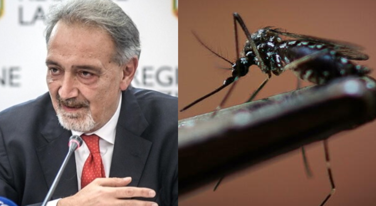 https://statics.cedscdn.it/photos/MED_HIGH/2025/07/25/8977782_25165227_west_nile_test_donatori_sangue_lazio_oggi_25_7_2025.jpg