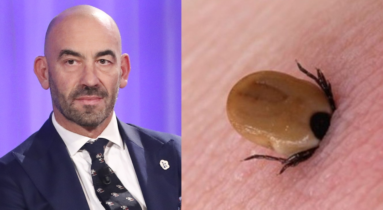 https://statics.cedscdn.it/photos/MED_HIGH/2025/07/25/8977841_25174712_morso_zecca_stella_solitaria_allergia_mortale_carne_latticini_matteo_bassetti_sindrome_alfagal_oggi_25_7_2025.jpg