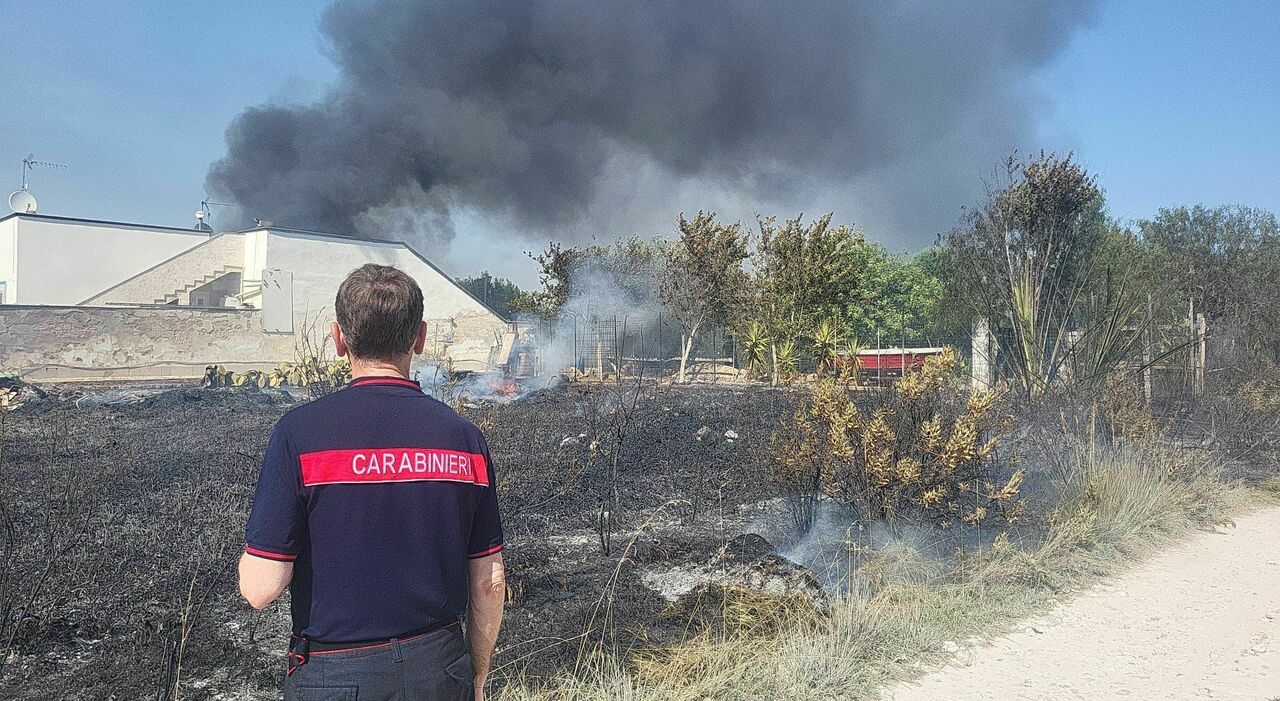 Incendio a Punta Prosciutto: macchia mediterranea distrutta, le fiamme lambiscono le case Incendio a Punta Prosciutto: macchia mediterranea distrutta, le fiamme lambiscono le case