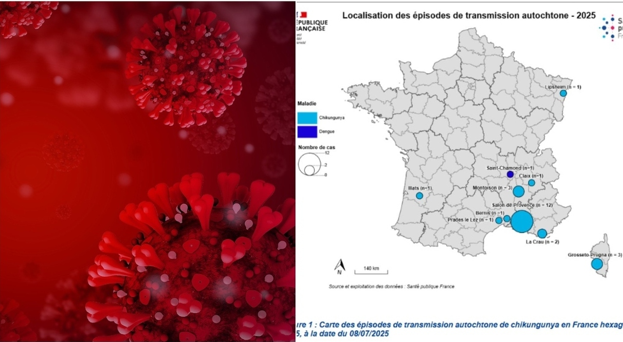 Virus Chikungunya, epidemia in Francia. L