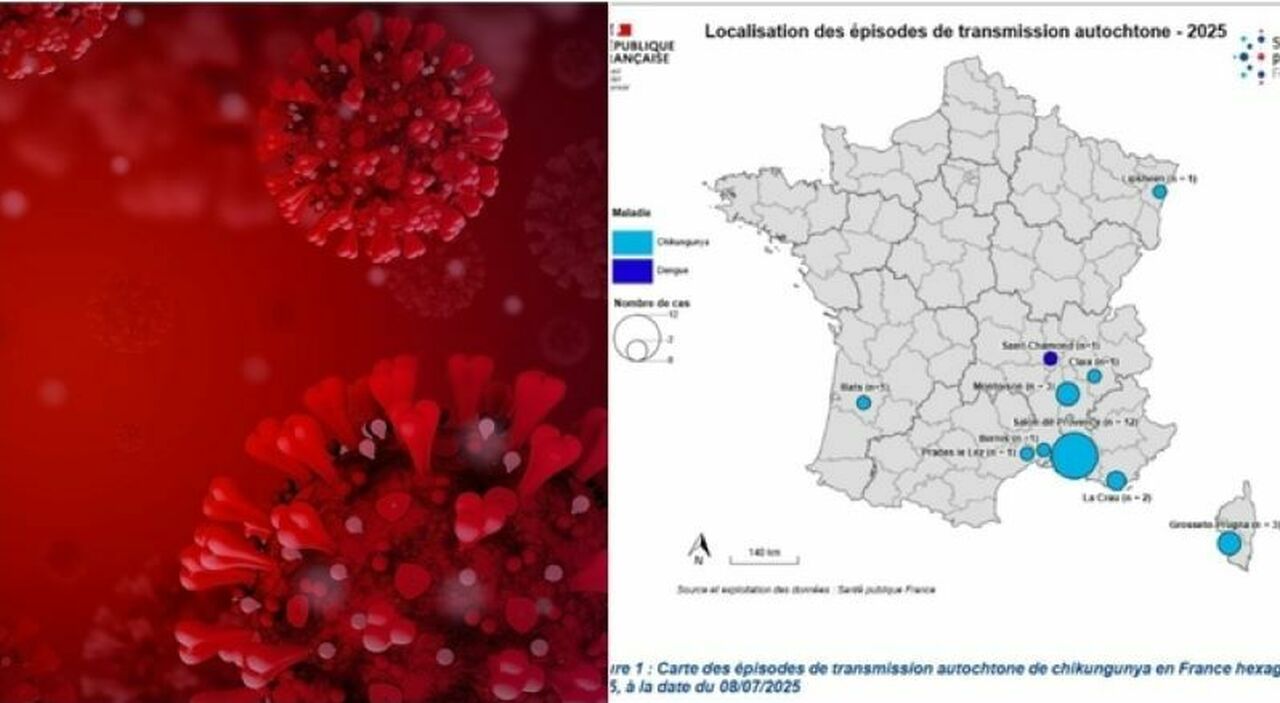 Virus Chikungunya, dopo la Francia scatta l