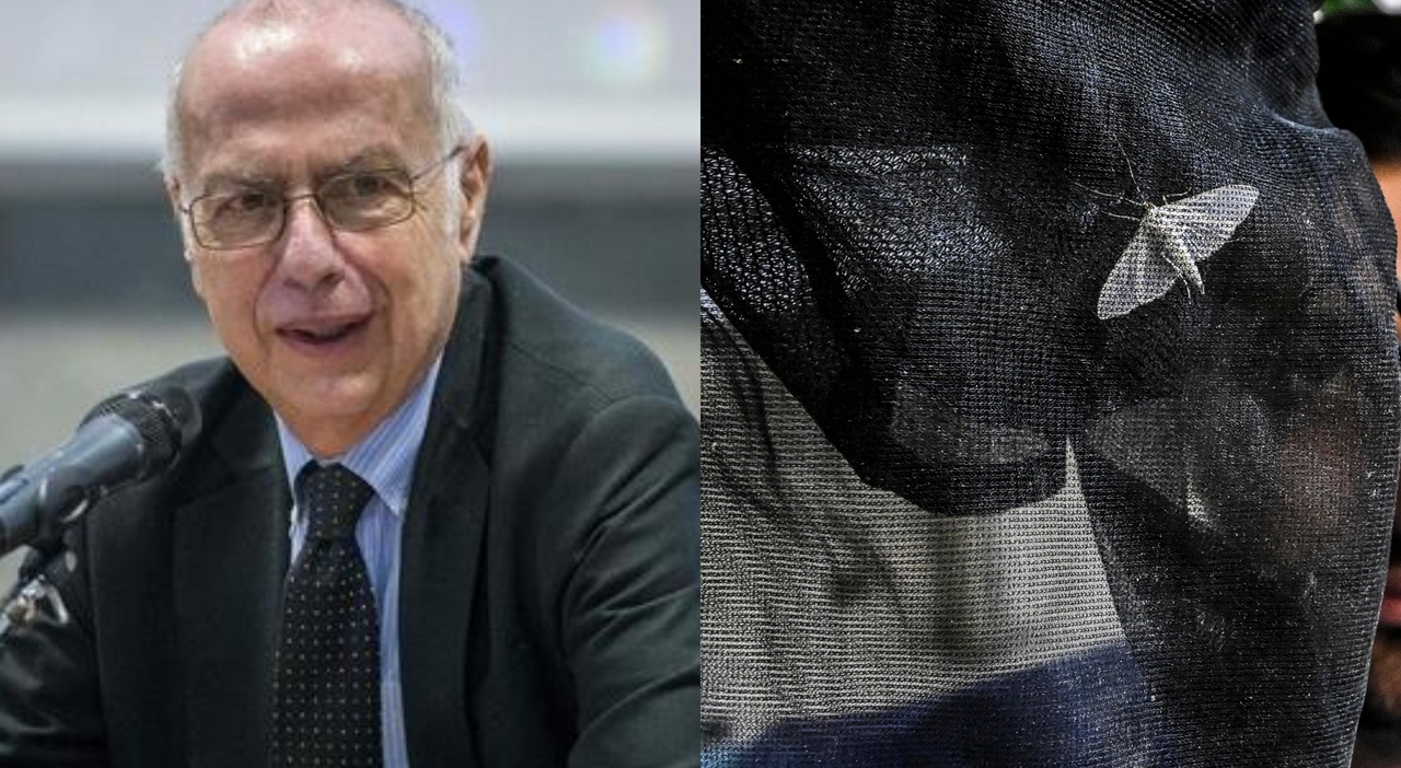 Gianni Rezza: «West Nile? Circola in molte zone, vanno prese subito le adeguate precauzioni». Quando il virus provoca sintomi neurologici Gianni Rezza: «West Nile? Circola in molte zone, vanno prese subito le adeguate precauzioni». Quando il virus provoca sintomi neurologici