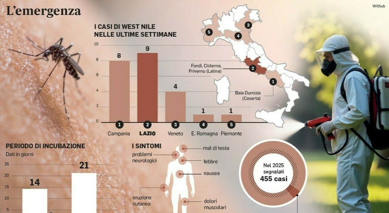 west nile 32 casi in italia quali sono i sintomi si trasmette da uomo a uomo dove 232 diffuso come riconoscere il virus la guida