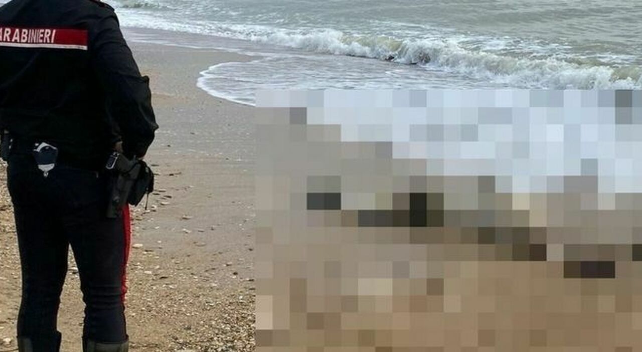 cadavere trovato in spiaggia a maccarese si indaga per identificare il corpo