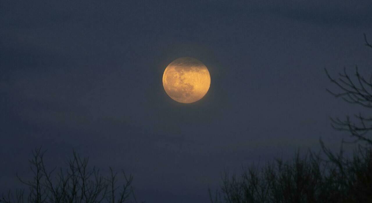 https://statics.cedscdn.it/photos/MED_HIGH/2025/07/28/8982703_28144019_luna.jpg