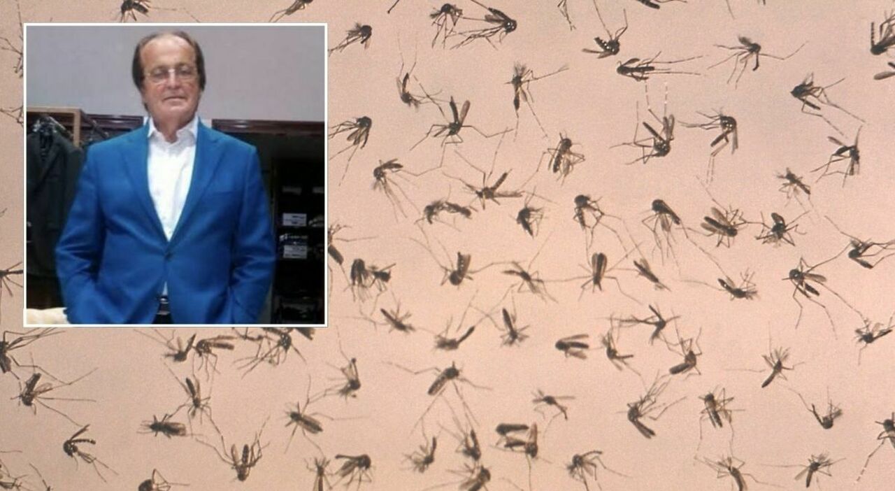 west nile oggi 2 morti uno a roma di latina dopo vacanza a baia domizia l altro a caserta nel lazio 16 nuovi casi 2 in terapia intensiva