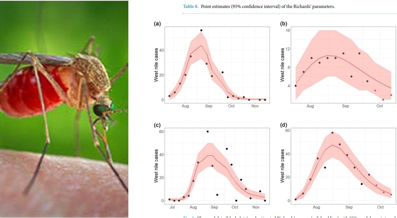 west nile l anomalia dei cluster al centro sud mai avvenuti prima quanto aumenteranno i casi e quando 232 previsto il picco