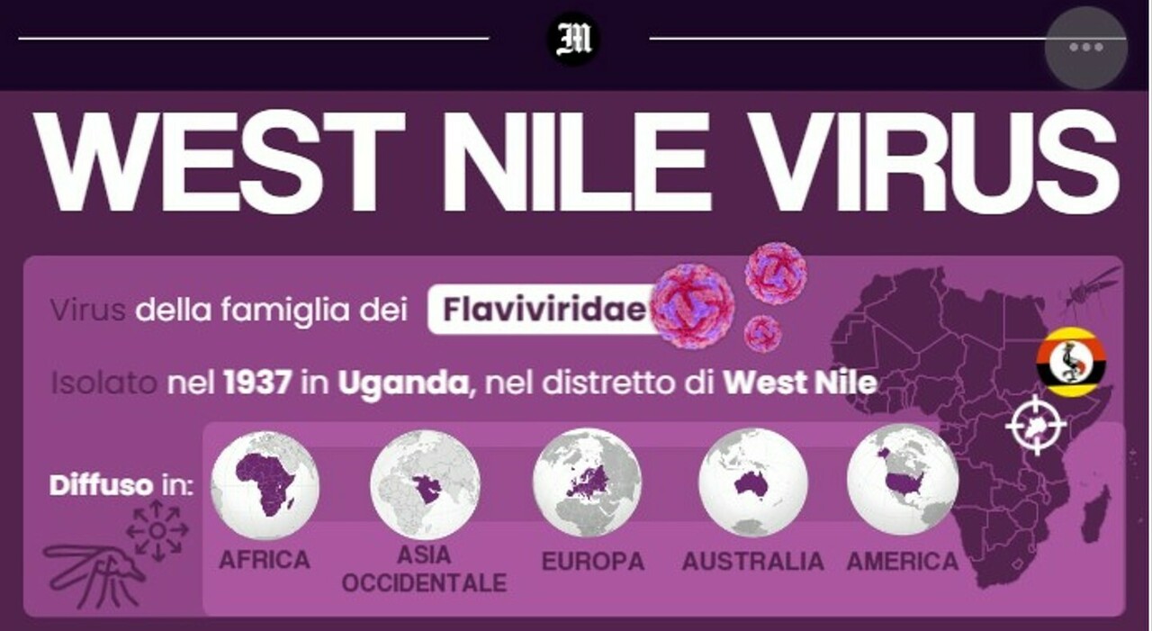 https://statics.cedscdn.it/photos/MED_HIGH/2025/07/28/8982792_28150558_west_nile.jpg