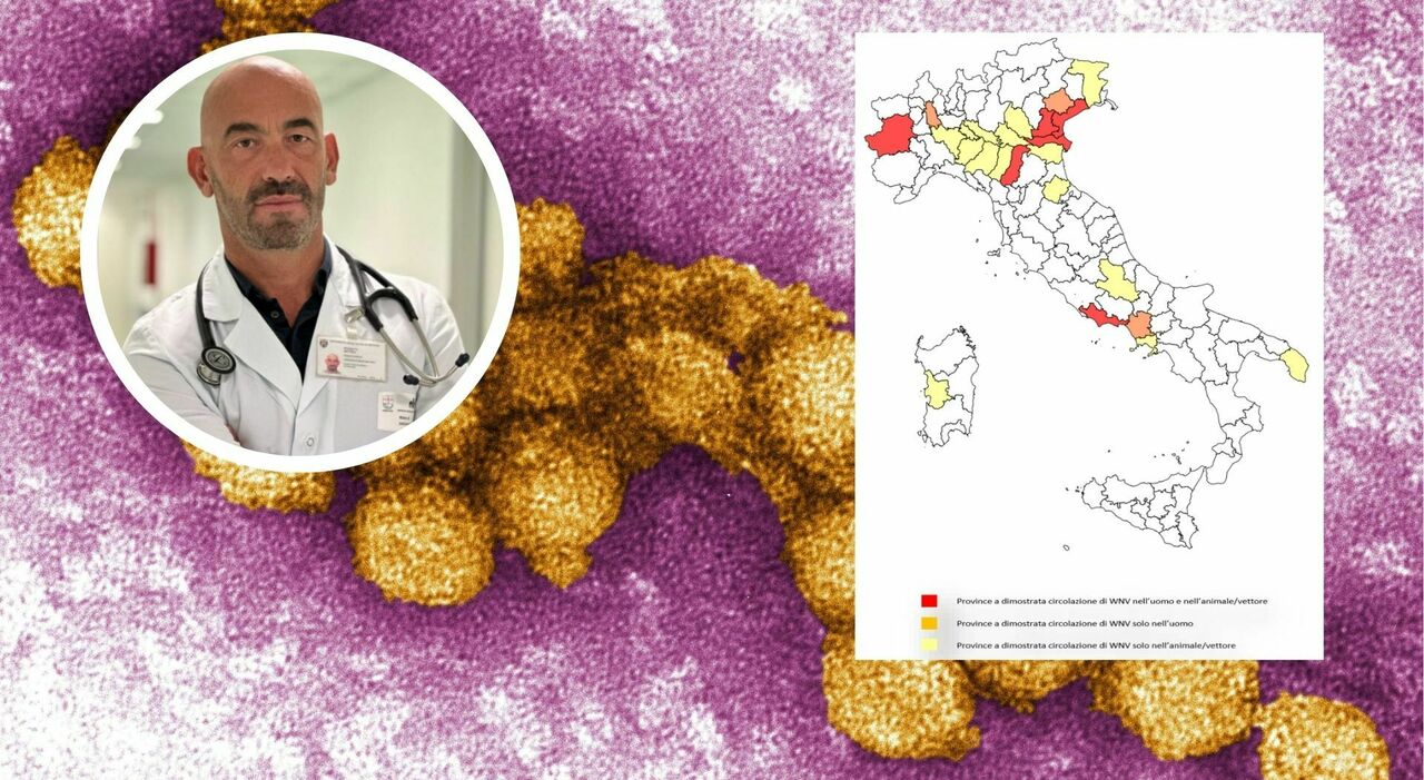 west nile la nuova mappa dei casi bassetti contagi destinati a crescere sempre pi249 regioni interessate