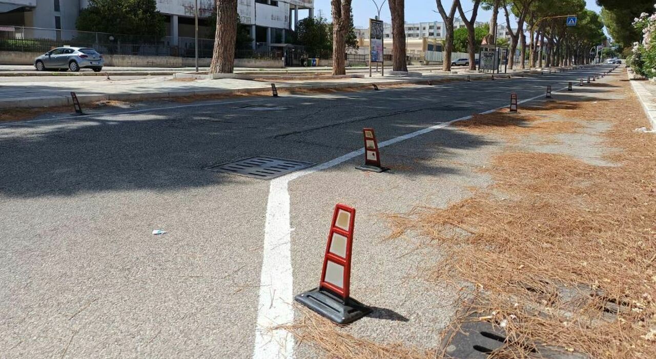 Radici invasive e Zone 30: traffico in tilt sulle corsie strette