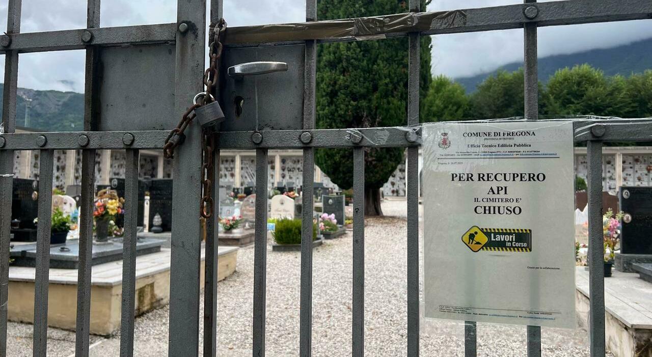 cimitero chiuso per api ma i vandali tolgono i sigilli giovane punto al viso il sindaco incoscienti denuncio per tentato omicidio