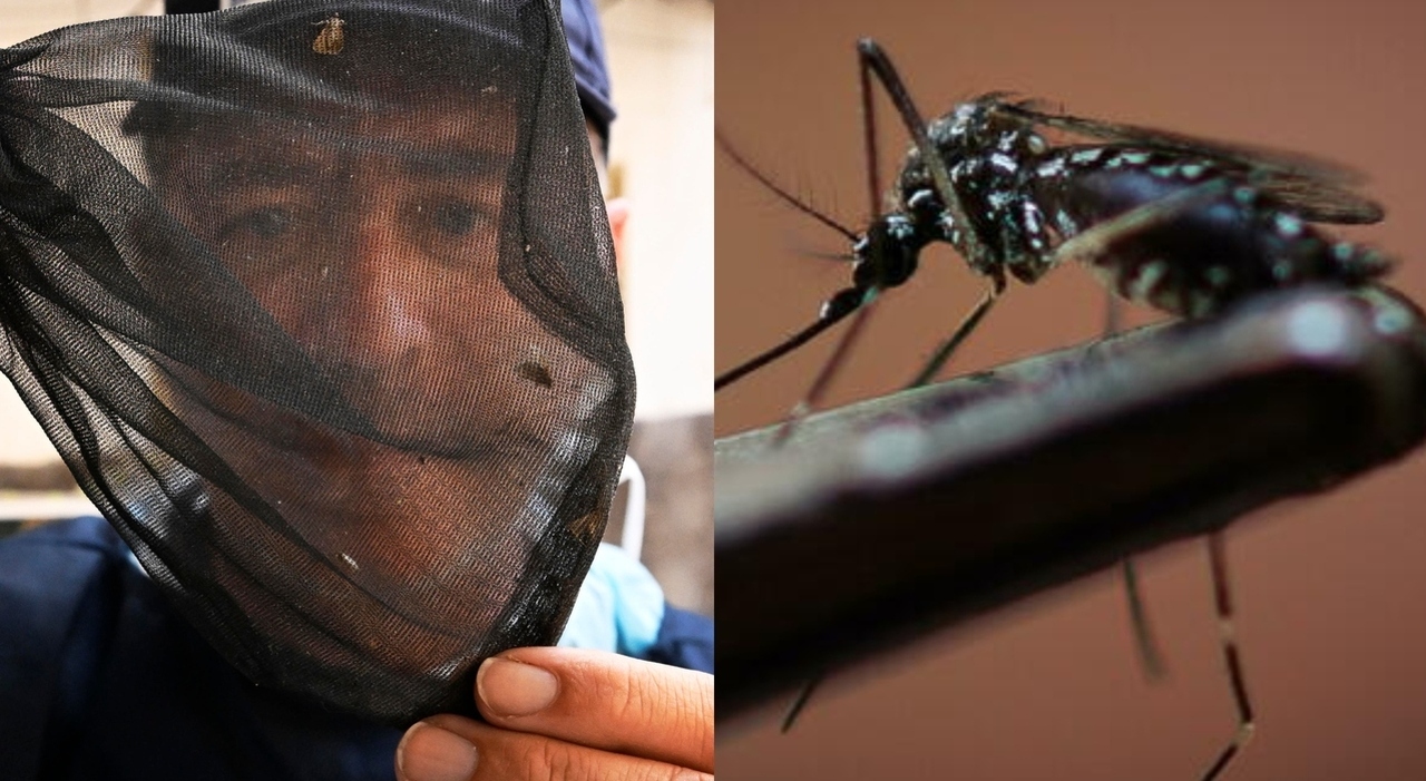 west nile salgono a 4 i morti in italia i nuovi cluster in lazio e campania focolai in zone finora non colpite cosa sta succedendo