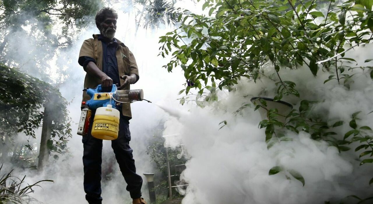 West Nile, tre vittime: «Tutti pazienti fragili». Focolaio nel Napoletano