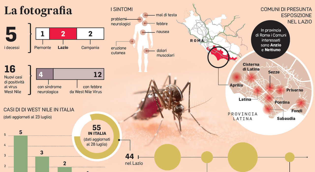 West Nile, altri 3 morti: colpita anche la Campania. Nel Lazio sedici nuovi contagiati, la situazione