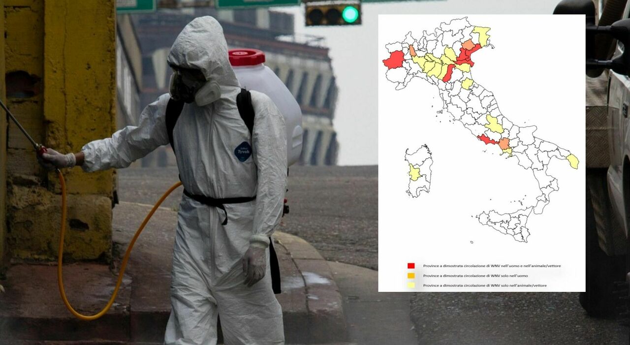west nile la mappa delle aree a rischio scattano le disinfestazioni nel lazio e in campania ecco dove