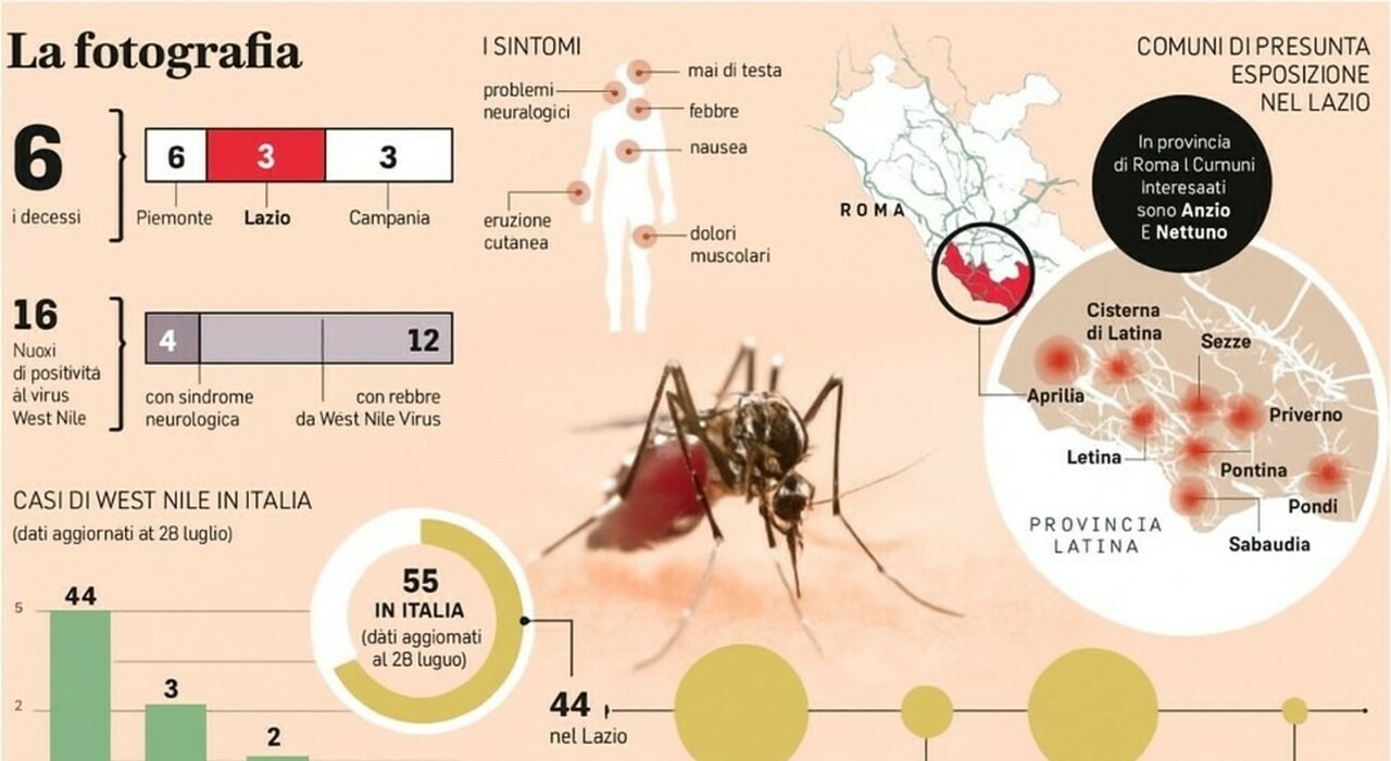 West Nile, terzo morto nel Lazio e sesto in Italia: la vittima è un uomo di 86 anni, era ricoverato all West Nile, terzo morto nel Lazio e sesto in Italia: la vittima è un uomo di 86 anni, era ricoverato all