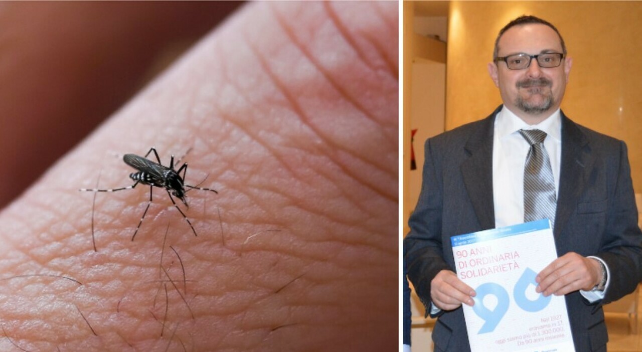 West Nile e donazione di sangue, Avis: «Niente allarmismi, in Veneto facciamo da anni il test che intercetta i virus» West Nile e donazione di sangue, Avis: «Niente allarmismi, in Veneto facciamo da anni il test che intercetta i virus»