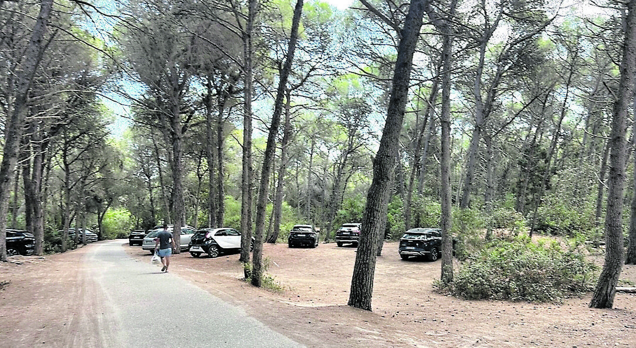 Salento, Sos parcheggi sul litorale: persi mille posti auto
