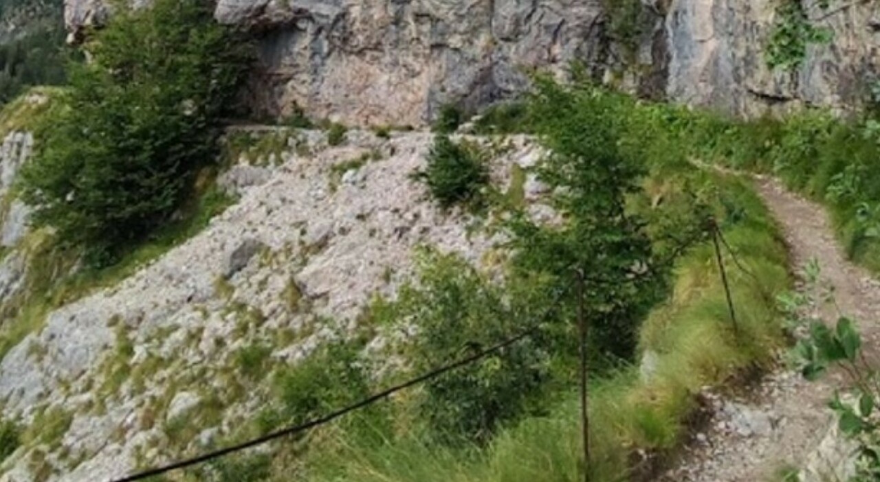 https://statics.cedscdn.it/photos/MED_HIGH/2025/07/30/8986491_30110639_reda.jpg