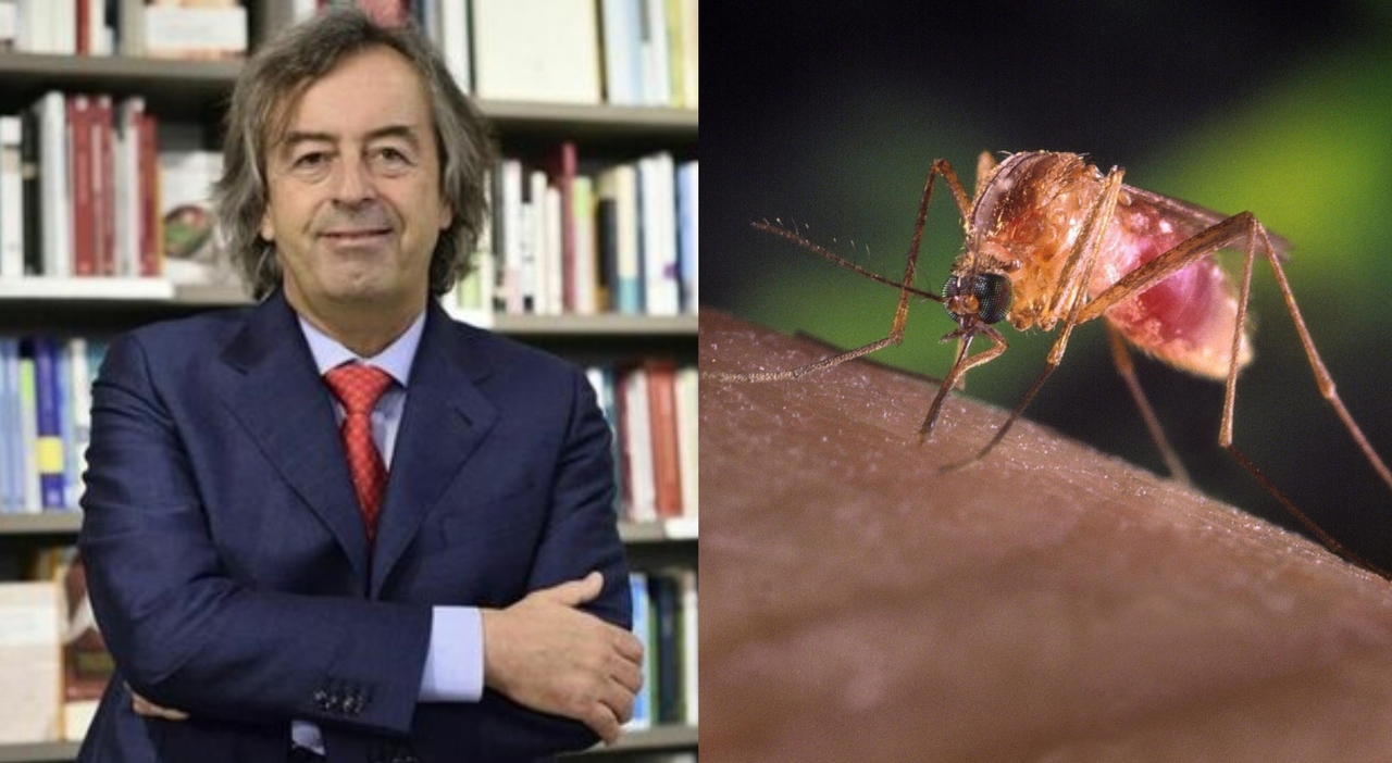 https://statics.cedscdn.it/photos/MED_HIGH/2025/07/30/8987150_30211422_roberto_burioni_west_nile_no_vaccino_cure_lotta_zanzare_seria_oggi_30_7_2025.jpg