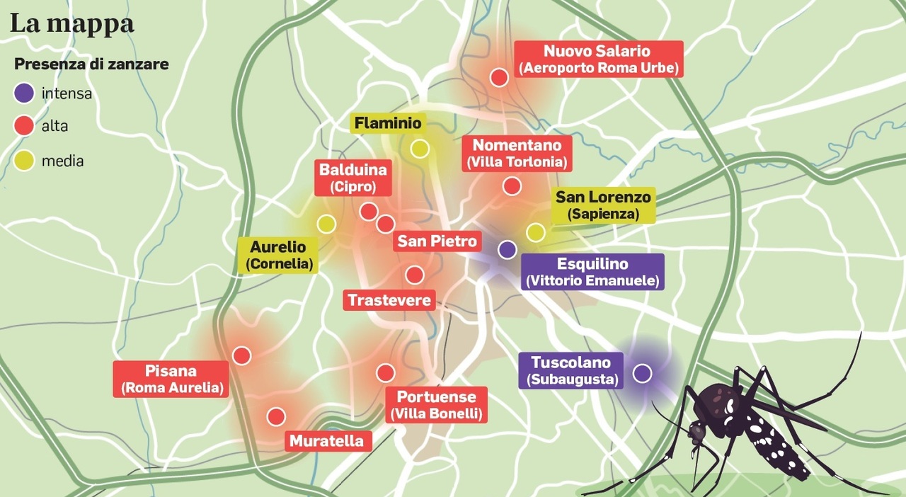 West Nile Roma, in quali zone ci sono più zanzare? Salario, Trastevere, Esquilino: la mappa dei quartieri più a rischio West Nile Roma, in quali zone ci sono più zanzare? Salario, Trastevere, Esquilino: la mappa dei quartieri più a rischio