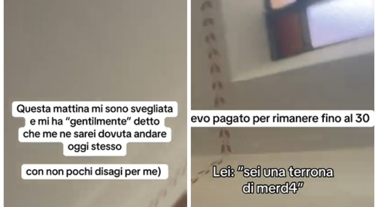 https://statics.cedscdn.it/photos/MED_HIGH/2025/07/31/8988623_31132950_terrona_3.jpg