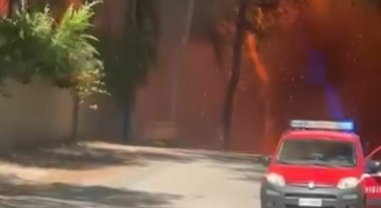 incendio nella zona di lido silvana un anno fa un altro rogo spaventoso