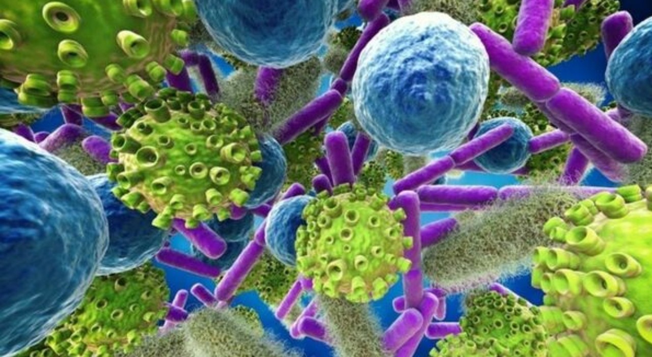 https://statics.cedscdn.it/photos/MED_HIGH/2025/08/01/8990781_01170023_superbatteri_resistenti_antibiotici_pandemia_silenziosa_oggi_1_8_2025.jpg