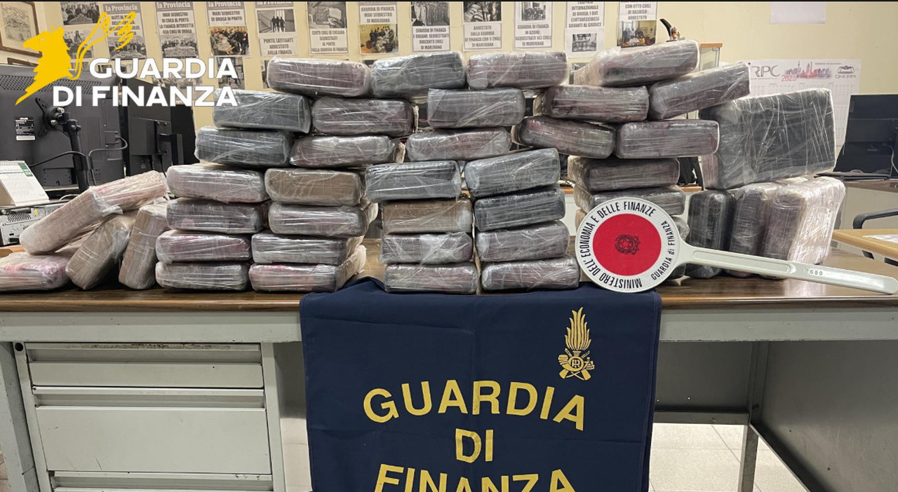 Civitavecchia, sequestrati 50 chili di coca al porto. «Erano per il Ferragosto»