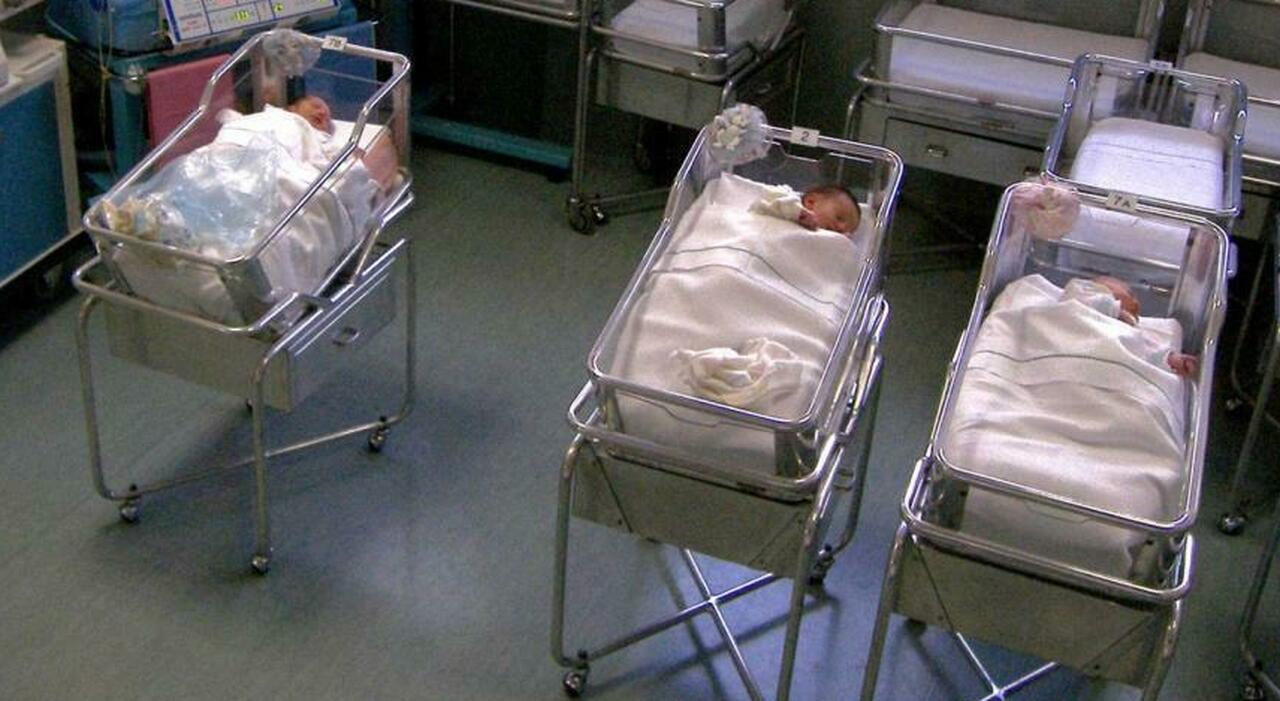 Das älteste Embryo-Wunder der Welt