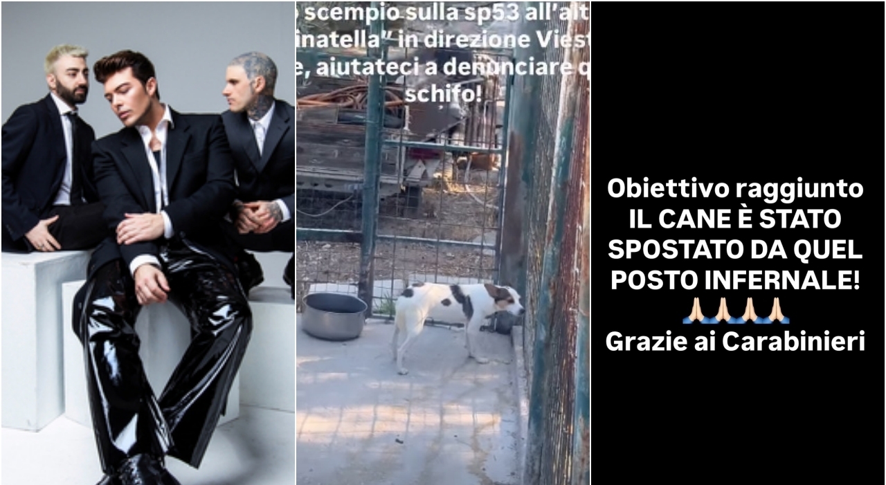 https://statics.cedscdn.it/photos/MED_HIGH/2025/08/02/8992198_02090306_collage.jpg