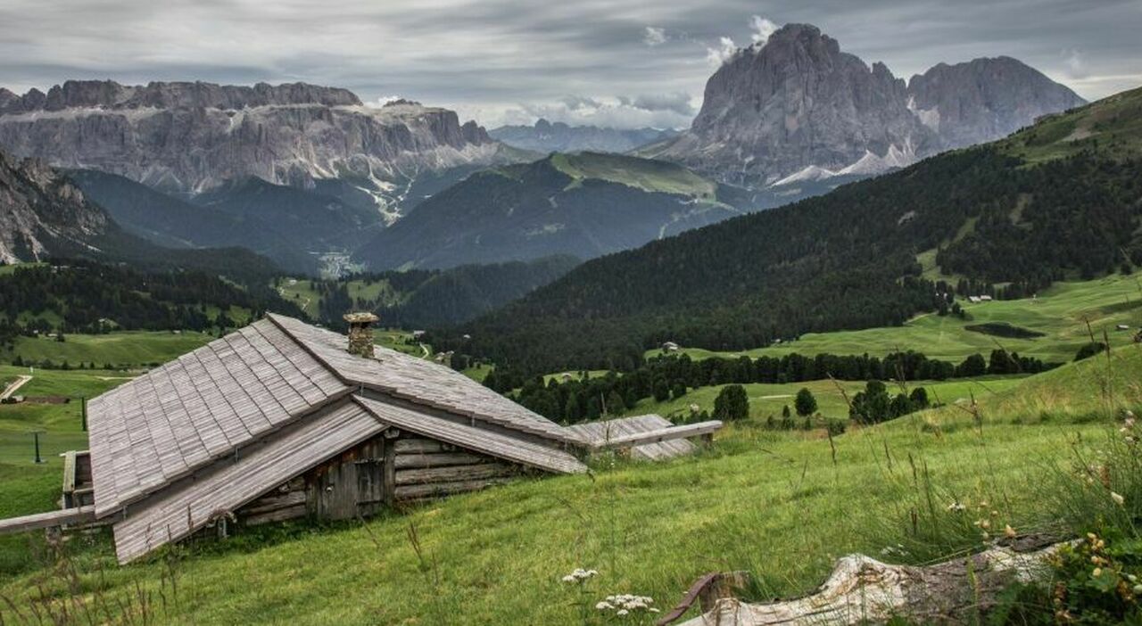 https://statics.cedscdn.it/photos/MED_HIGH/2025/08/02/8992224_02094408_cliente_turista_spray_peperoncino_ristorante_alto_adige_attesa_cibo_prezzi_turismo_val_casies_oggi_2_8_2025.jpg