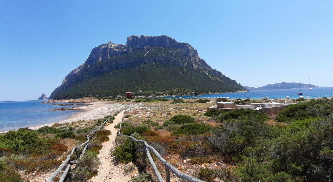 https://statics.cedscdn.it/photos/MED_HIGH/2025/08/02/8992835_02220248_tavolara_isola.jpg