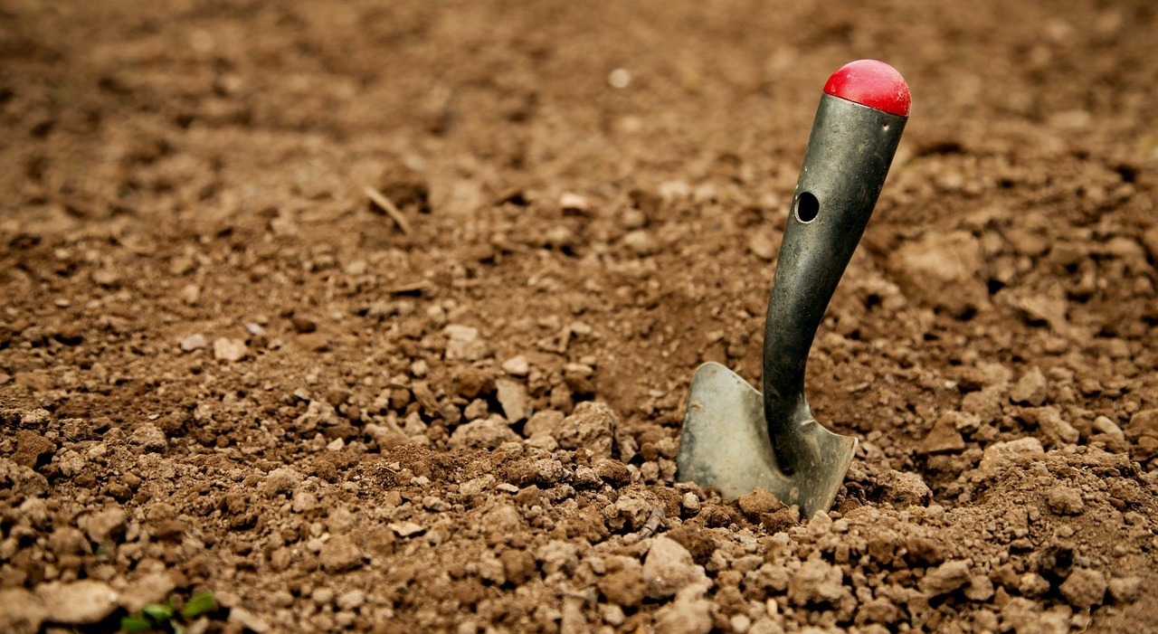 https://statics.cedscdn.it/photos/MED_HIGH/2025/08/04/8995492_04124319_shovel_3759461_1280.jpg