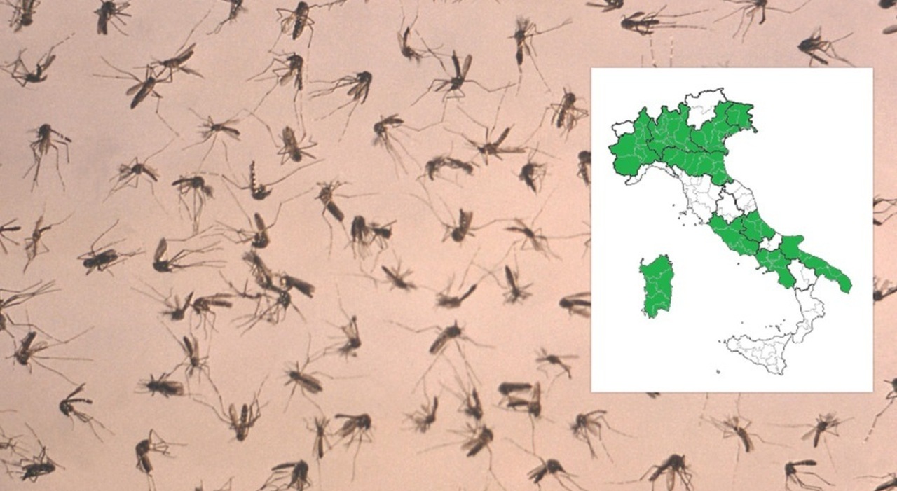 https://statics.cedscdn.it/photos/MED_HIGH/2025/08/04/8995988_04214213_west_nile_morti.jpg