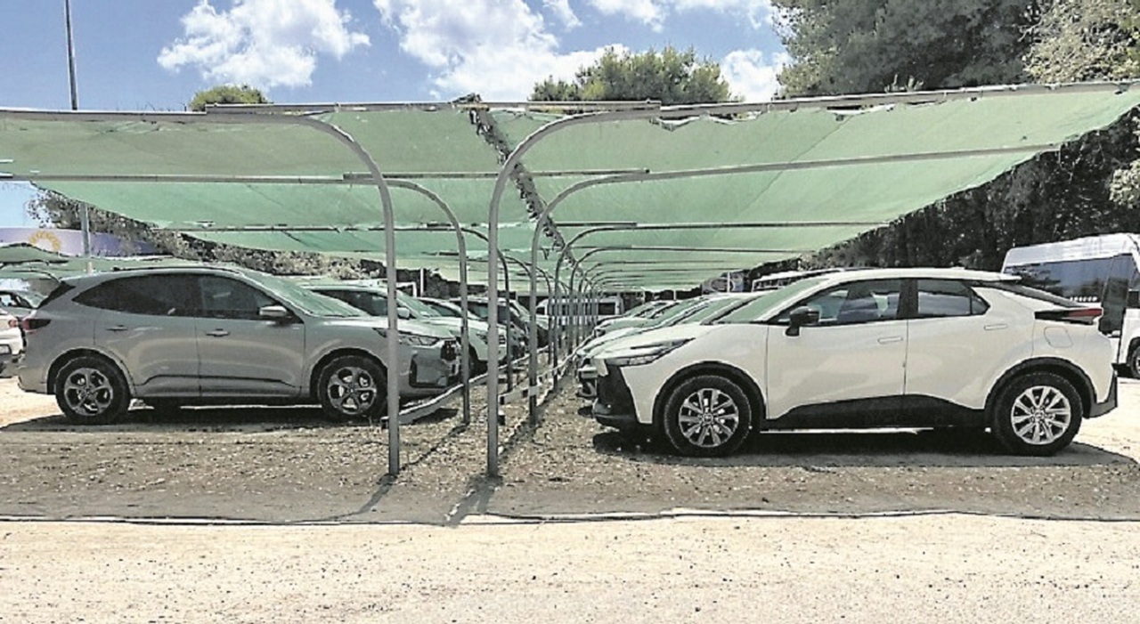 Salento, via libera ai parcheggi in pineta Salento, via libera ai parcheggi in pineta