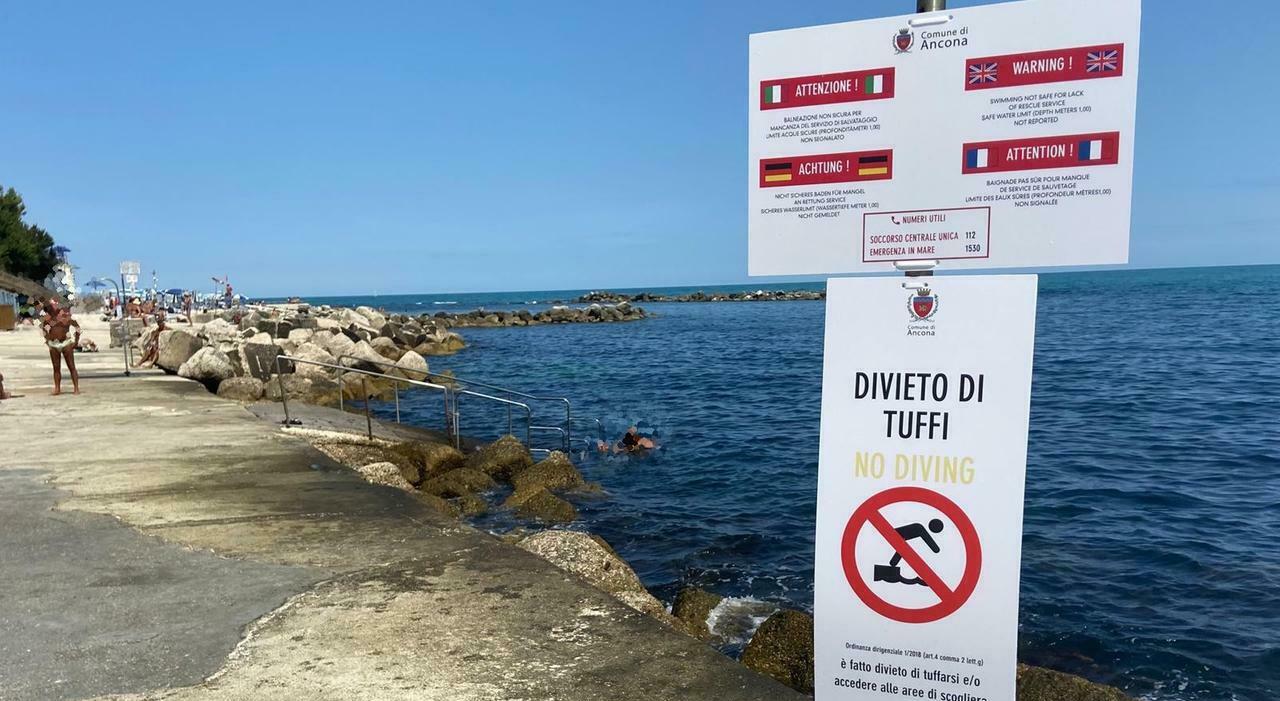 alga tossica slitta il report delle analisi i tuffi al passetto rimangono in stand by