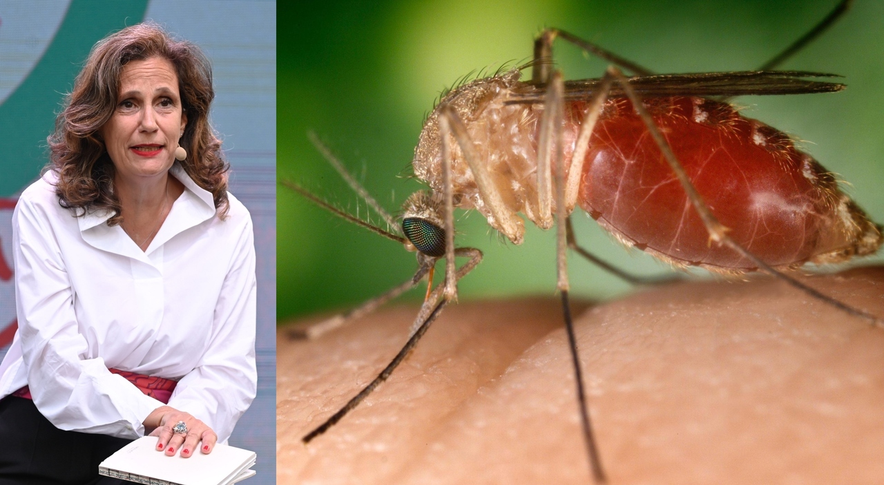 https://statics.cedscdn.it/photos/MED_HIGH/2025/08/08/9003034_08181722_west_nile_ilaria_capua_focolai_onda_contagi_virus_molti_animali_oggi_8_8_2025.jpg