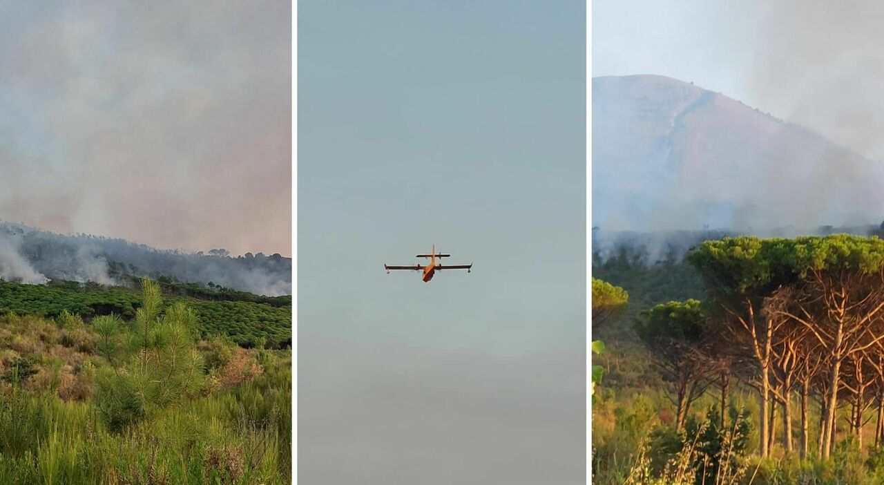 Incendio sul Vesuvio tutta la notte, canadair ancora in azione: in fiamme la pineta