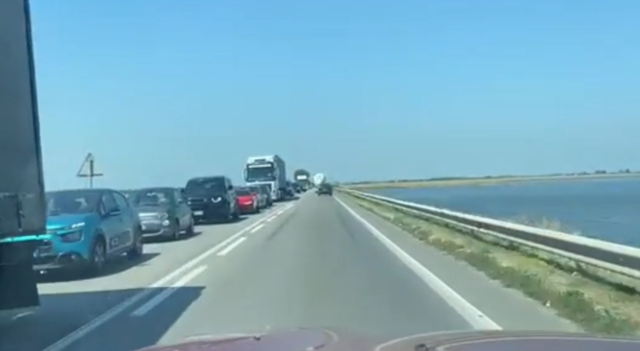 https://statics.cedscdn.it/photos/MED_HIGH/2025/08/09/9004415_09110721_myfilename.jpg