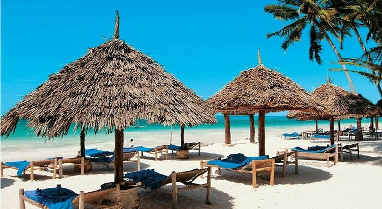 truffa delle vacanze paga il tour tra tanzania e zanzibar ma l agenzia viaggi 232 clonata