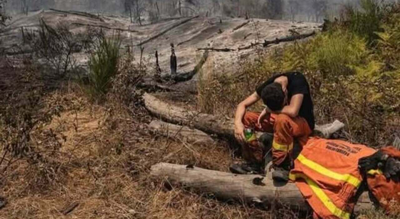 Incendio Vesuvio, battaglia senza sosta per sconfiggere il fuoco Incendio Vesuvio, battaglia senza sosta per sconfiggere il fuoco
