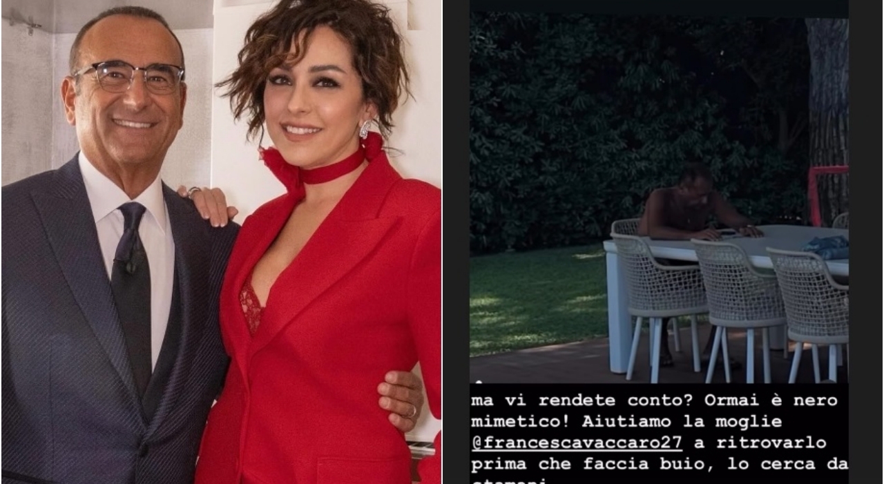 https://statics.cedscdn.it/photos/MED_HIGH/2025/08/12/9009217_12093113_collage.jpg